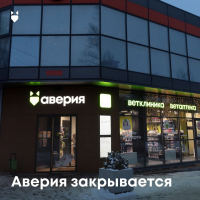 фото: Аверия. соц сети