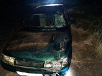 фото: пресс-служба ГУ МВД по Волгоградской области