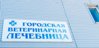ФОТО: Интернет-газета "Кривое-зеркало"