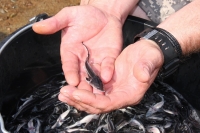 фото: пресс-служба Администрации Волгоградской области