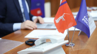 flazhok edinaya rossiya