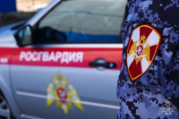 rosgvardia