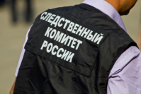 СК возбудил дело против пяти россиян из «Правого сектора»