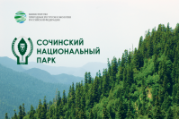 фото: официальный сайт Сочинского национального парка