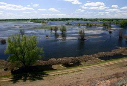 Депутаты Волгоградской области бьют тревогу: пойма задыхается без воды и денег