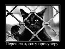 Прокурора вызывали? Прокурора вызывали?