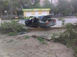  На юге Волгограда легковушка протаранила дерево