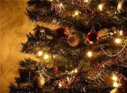 В Волгограде прорастет «Новогоднее дерево добра» 
