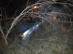 В Волгоградской области 16-летняя девушка въехала на «Ладе» в дерево
