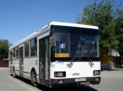 В 2016 году на улицах Волгограда появятся 70 новых автобусов 