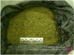 Жителей Волгоградской области задержали с двумя килограммами марихуаны