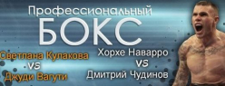 На один день Волгоград стал столицей мирового бокса На один день Волгоград стал столицей мирового бокса