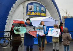 Волгоградские активисты провели митинг в защиту дельфинов