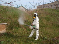 В Волгоградской области объявлена война комарам