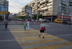В Волгограде «зебра» обскакала департамент городского хозяйства 