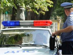 Пьяный водитель укусил полицейского в Волгоградской области