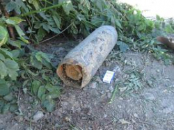 На одном из волгоградских рынков найдена бомба