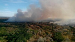 В Волгоградской области с начала года от огня пострадало 192 га зеленых насаждений