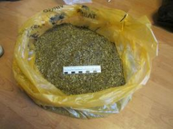 В Волгограде за 9 месяцев изъято 1,5 кг героина и 265 кг марихуаны