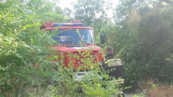 Лесники Волгоградской области  переведены на круглосуточный режим работы