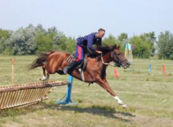 В Волгоградской области пройдет конный поход донских казаков