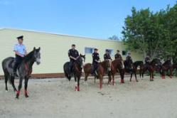 В Волгоградской области полицейские пересели на лошадей 