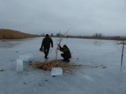 В трех районах Волгоградской области спасают рыбу от замора