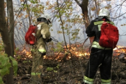 400 человек участвуют в тушении пожара в Серафимовичском районе Волгоградской области