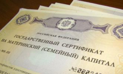 В Волгограде мошенничеством с материнским капиталом занимались руководители кредитных кооперативов