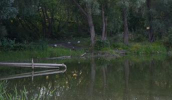 В Волгограде из-за угрозы менингита запрещено купание в прудах