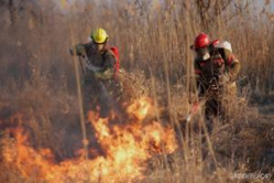 Гринпис России обсудит в Астрахани проблему растительных пожаров в дельте Волги