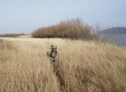 В Волгоградской области стартует сезон охоты на пушную дичь