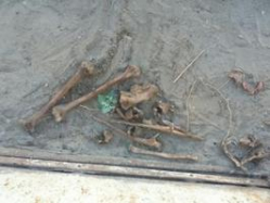 На севере Волгограда возле школы нашли останки человека