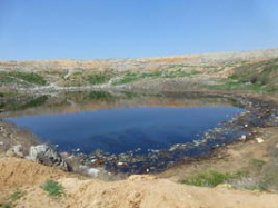 Фекалии отравляют реки и поля Волгоградской области