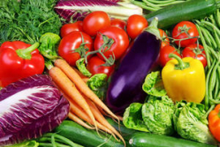 В Волгоградской области реализовано более 80 тысяч тонн овощей 