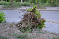 В Волгограде под застройку пустили еще один сквер