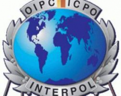 Что в Волгограде делает Интерпол? Что в Волгограде делает Интерпол?