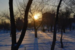 В Волгограде мороз пока не дает расслабиться, но метеорологи и звери обещают скорую весну