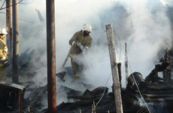 В Волгоградской области сгорели 56-летний мужчина и его внук