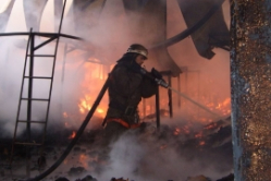 В пожаре под Волгоградом чуть не погиб дачник 