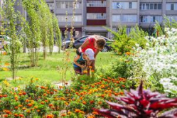 В Волгоградской области объявлен конкурс проектов благоустройства территорий