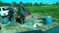 Под Волгоградом поймали браконьеров с 300 кг рыбы 