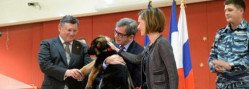 Французской полиции подарили российскую собаку Добрыню