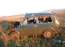 В ДТП под Волгоградом погиб водитель «Нивы»