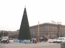 В Волгограде начали наряжать главную новогоднюю елку города