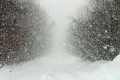 Автомобилистов предупреждают о неблагоприятных погодных условиях на федеральных трассах Волгоградской области 