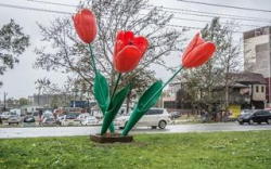 Наследники Ирины Гусевой: Южно-Сахалинск украсили «тюльпанами-мутантами»