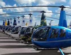 В Волгограде появится развлечение для богатых: вертолетные экскурсии над городом