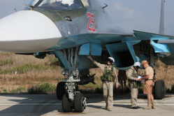 Рогозин назвал «вежливым пилотом» российского летчика в Сирии