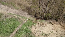 Дурно пахнущая история: в Волгограде жидкие отходы сливают прямо в Волгу Дурно пахнущая история: в Волгограде жидкие отходы сливают прямо в Волгу